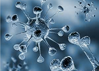 HJC黄金城平台体内体外药效试验顺利通过药监局审查