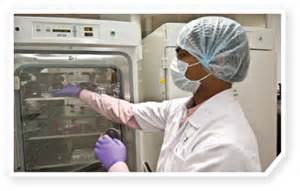 CellRep：古老病毒或可作为基因疗法的载体