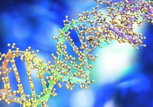 蛋白质组学HJC黄金城平台