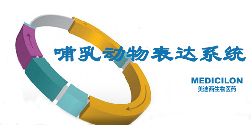 哺乳动物细胞表达系统特点、优势及研究现状
