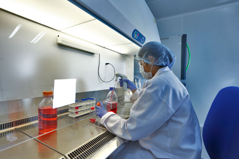 2015年度中国药品批准盘点：化药不批准率超20%，中药上市数量翻3倍