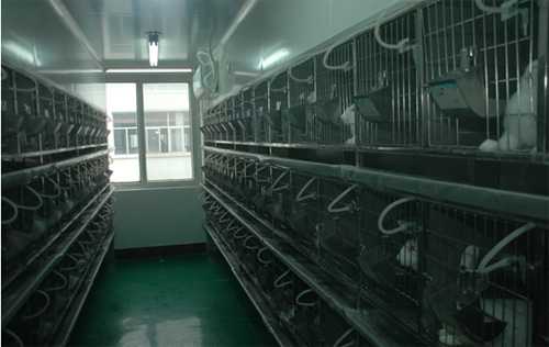 HJC黄金城平台实验动物房