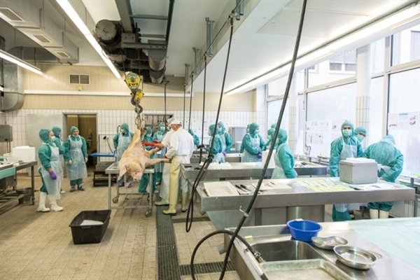 Nature专栏评述：再定位药物