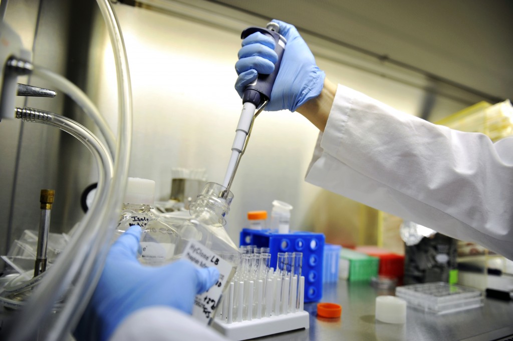 一致性评价需要遵循哪些技术指导原则以及技术要求？