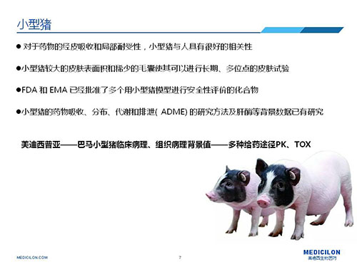 皮肤涂抹试验中，受试动物选择小型猪更好