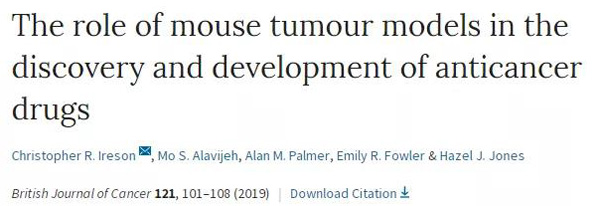 临床前小鼠模型如何。