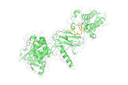 PROTAC技术，马兴泉