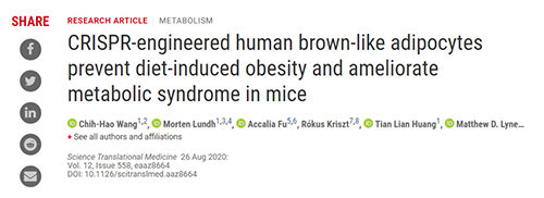 Science|聚焦CRISPR：改造脂肪细胞，“躺瘦”可能要成真了？