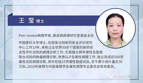 HJC黄金城平台病理研究部高级主任王莹博士