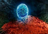 Nature：BATF3改善T细胞记忆应答，有望改善免疫疗法的疗效