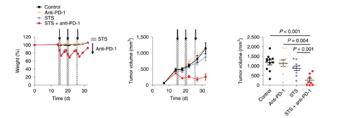 与对照组及仅使用PD-1疗法的模型小鼠对比，采用短期饥饿配合PD-1疗法的393P细胞同源移植肿瘤小鼠体内的肿瘤体积有了明显的收缩。
