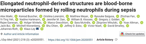 一种神秘颗粒被发现了 ！它能否成为败血症早筛标志物？