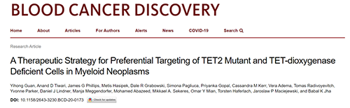 研究者描述了一种新型靶向抗癌药物，这种药物可能会有效地治疗某些常见的白血病。