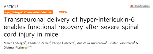 Nature：还瘫痪患者一个自由身的日子不远了