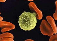 Science子刊：一种FDA批准的抗腹泻药物可有效对抗化疗的耐药性