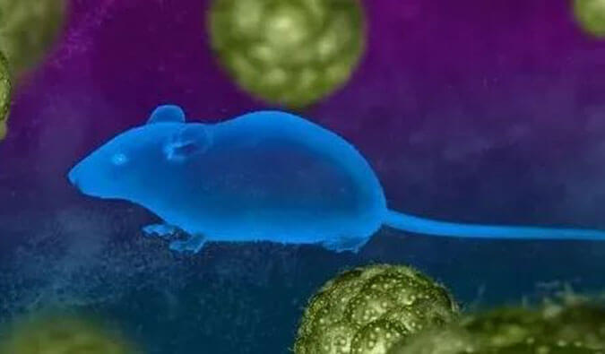 HJC黄金城平台药效服务赋能First-in-Class泛素化抑制剂研发