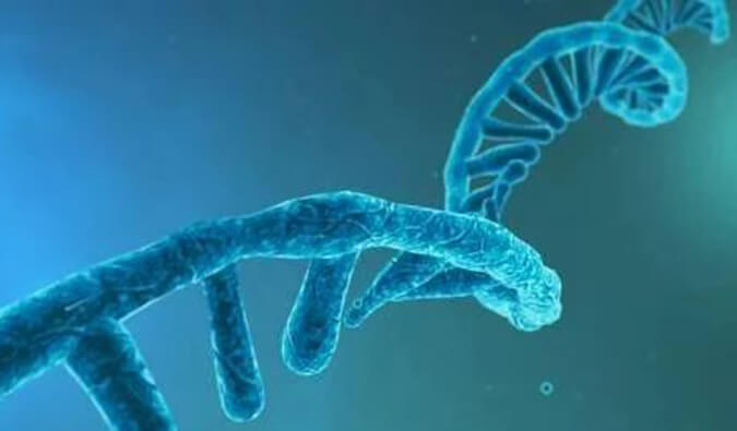 美研丨寡核苷酸药物市场前景、发展挑战及应对策略