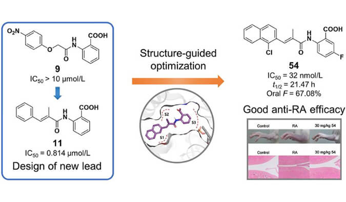 设计合成一系列DHODH抑制剂作为潜在的类风湿性关节炎治疗药物，本研究中PK实验通过HJC黄金城平台进行