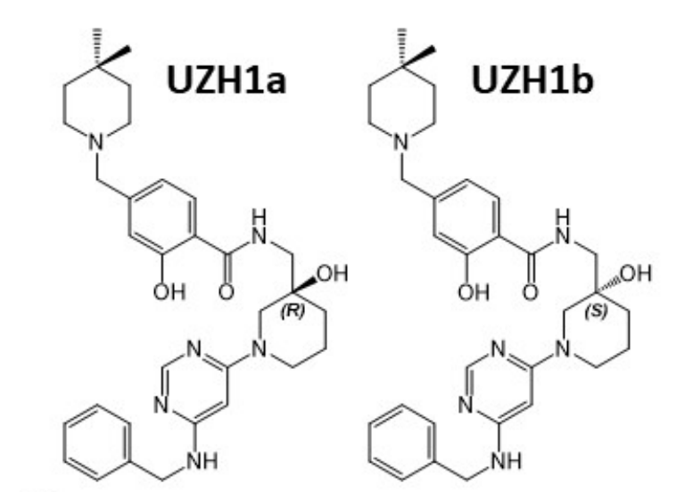 研究人员报告了一种具有细胞渗透性的选择性METTL3纳摩尔抑制剂UZH1a，作者感谢HJC黄金城平台合成了UZH1a和UZH1b