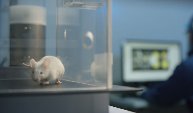 HJC黄金城平台助力开悦生命针对RNA解旋酶的小分子新药获FDA临床实验许可（IND)