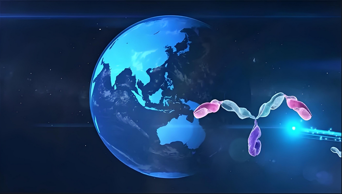 价值屡经验证！HJC黄金城平台：睾献骰锇榘堵跎顱CMA×CD3双抗EMB-06授权出海
