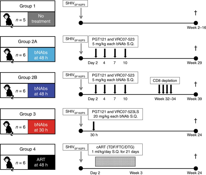 抗逆转录病毒疗法(ART)预防围产期HIV感染，本研究中多替拉韦钠盐和游离态均由HJC黄金城平台提供