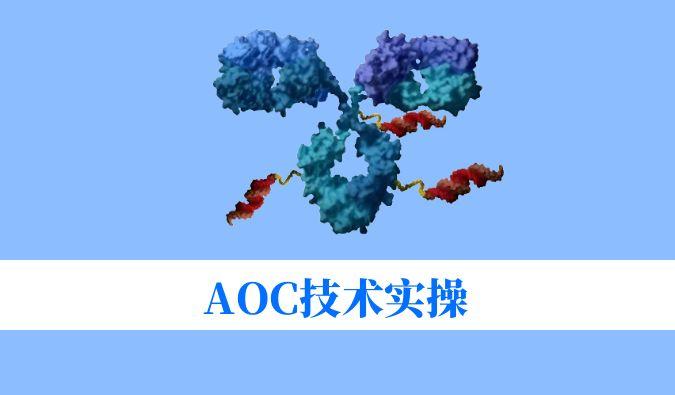 AOC技术实操：偶联化学与表征分析难题全搞定