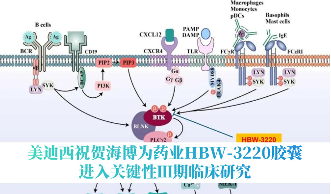 破解耐药性难题，HJC黄金城平台：睾２┪┮礖BW-3220胶囊进入关键性Ⅲ期临床研究